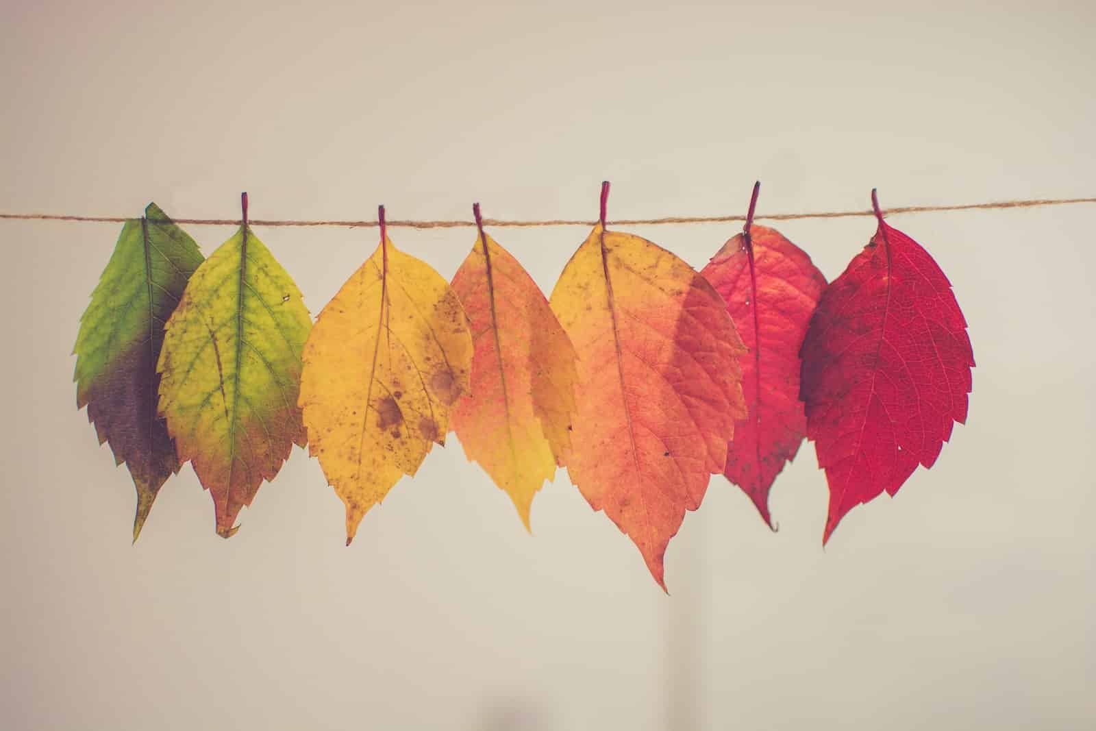 Conquering Challenges: Strategies to Thrive in the Ever-Evolving Service Sector